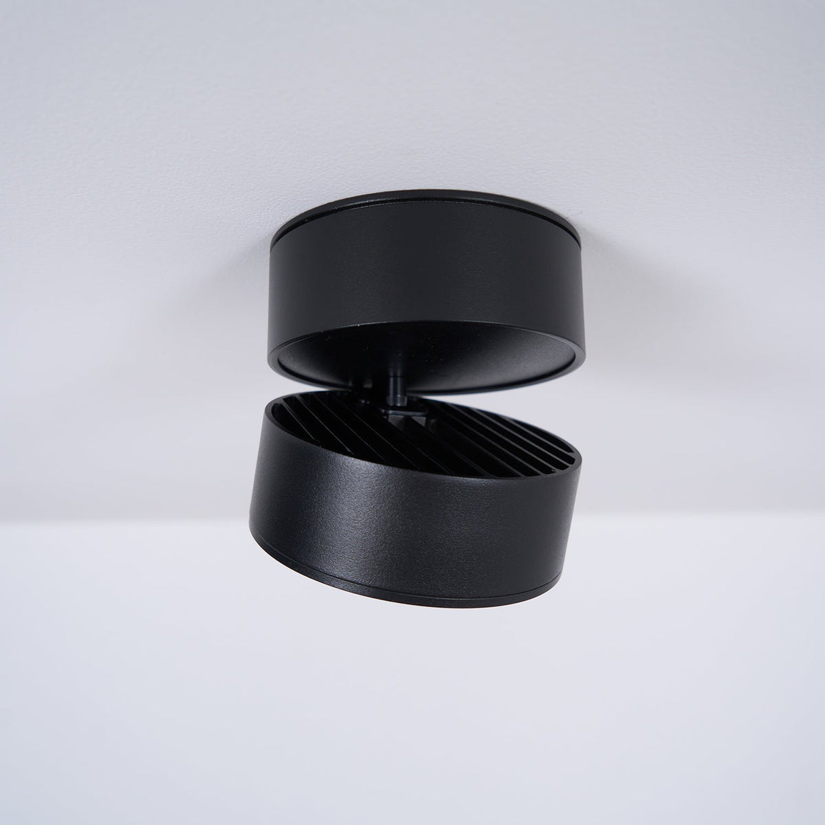 Adjustable Spotlight Ceiling Fixture 4 Inch Rotating LED Light for Artwork Living Room Gallery Black White Aluminum