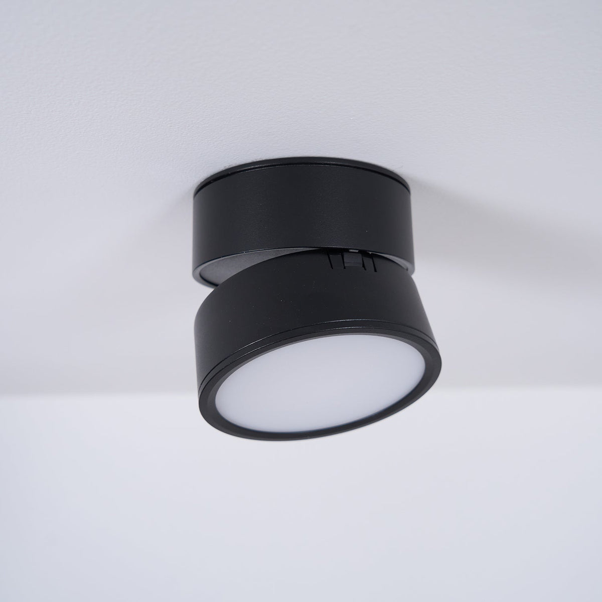 Adjustable Spotlight Ceiling Fixture 4 Inch Rotating LED Light for Artwork Living Room Gallery Black White Aluminum