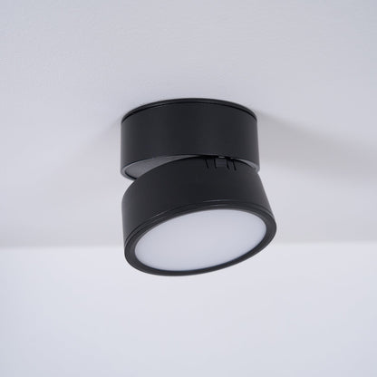 Adjustable Spotlight Ceiling Fixture 4 Inch Rotating LED Light for Artwork Living Room Gallery Black White Aluminum