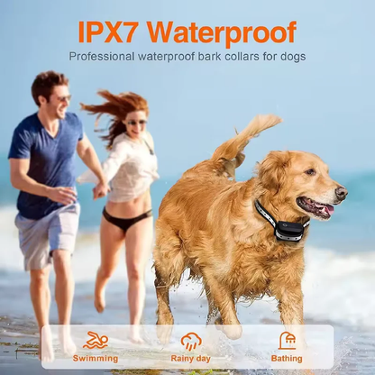 Effective Remote Dog Training Collar Long Range Safe