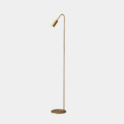 Arching Brass Spotlight Lamp with Adjustable LED Temperature 51 in Tall for Modern Homes Offices and Art Spaces