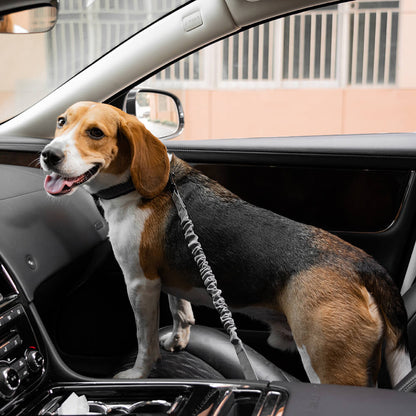 Adjustable Pet Safety Harness Tether for Car Travel with Reflective Strap & Elastic Shock Absorber for Dogs