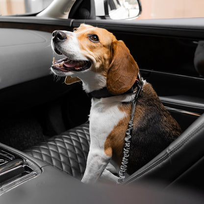 Adjustable Pet Safety Harness Tether for Car Travel with Reflective Strap & Elastic Shock Absorber for Dogs