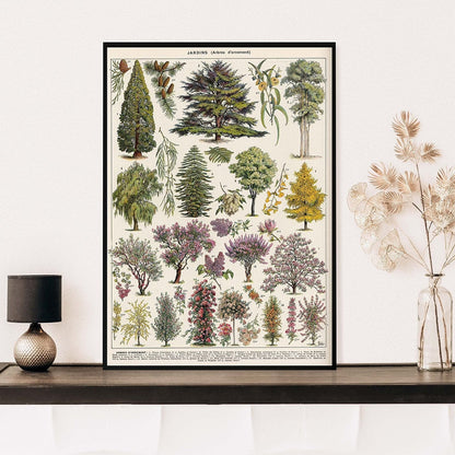 Framed Nature Illustration Canvas Prints – Classic Plant & Flower Wall Art for Living Room, Bedroom, Home Office Décor