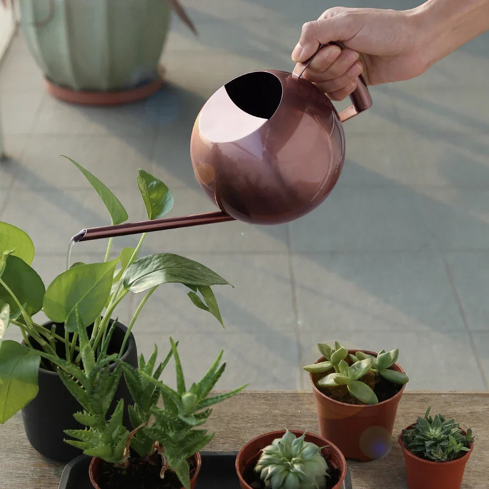 Stainless Steel Indoor Watering Pitcher for Houseplants – Modern Metal Long Spout Garden Can for Potted Plants, Succulents, Orchids – 50 oz