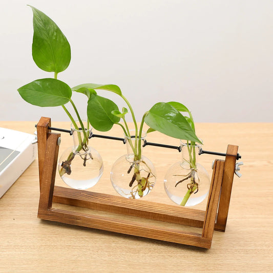 Wooden Desktop Glass Tube Rooting Station for Cuttings & Houseplants — Single, Double & Triple Holder Designs