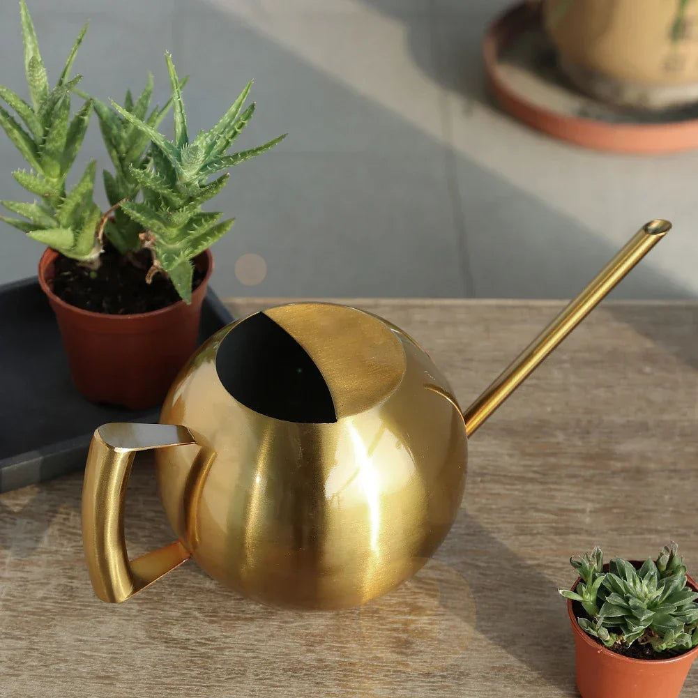 Metal Indoor Plant Watering Pitcher 11 in Diameter Long Spout Rust-Resistant Houseplant Tool Home Garden Container for Succulents Flowers
