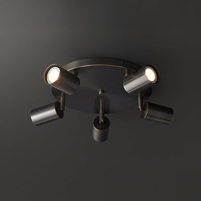 Rotatable Track Light for Kitchen Ceilings Multi-Head Metal Spotlight Fixture for Closets Directional Task Lighting Brass or Black