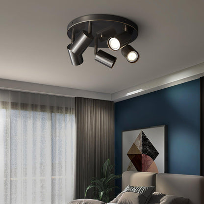 Rotatable Track Light for Kitchen Ceilings Multi-Head Metal Spotlight Fixture for Closets Directional Task Lighting Brass or Black