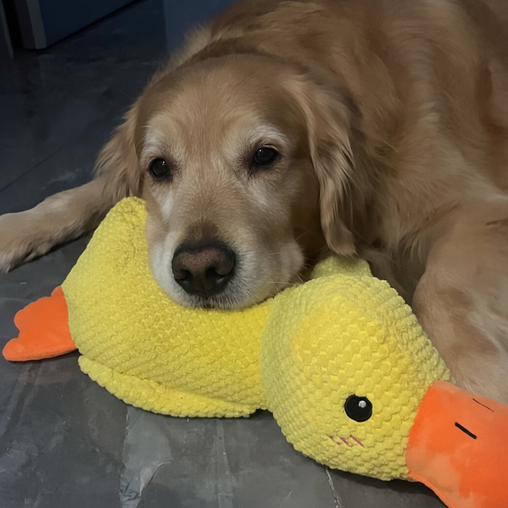 Interactive Dog Toy | Calming Duck with Quacking Sound | Engaging Chew Toy for Stress Relief