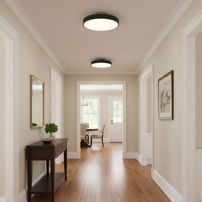 LED Ceiling Light Fixture 12 in Dimmable Round Low Profile for Bedroom Kitchen Office Home Modern Acrylic