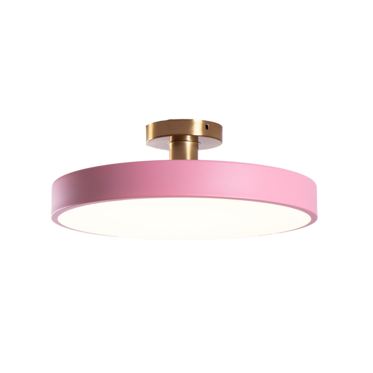 LED Ceiling Light Fixture 12 in Dimmable Round Low Profile for Bedroom Kitchen Office Home Modern Acrylic