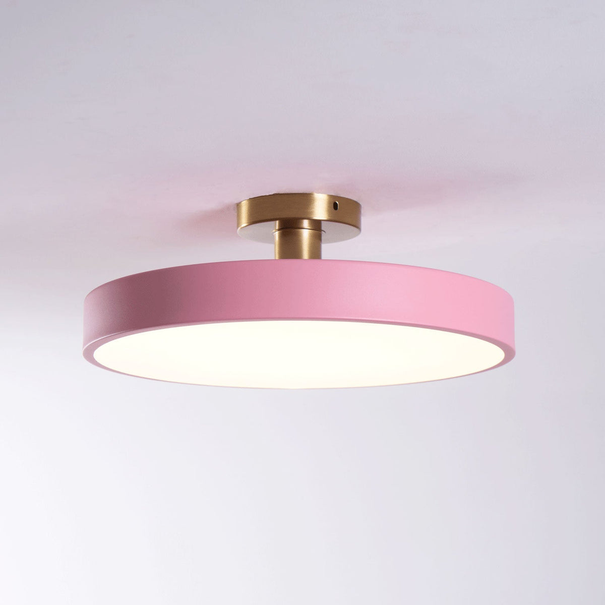 LED Ceiling Light Fixture 12 in Dimmable Round Low Profile for Bedroom Kitchen Office Home Modern Acrylic