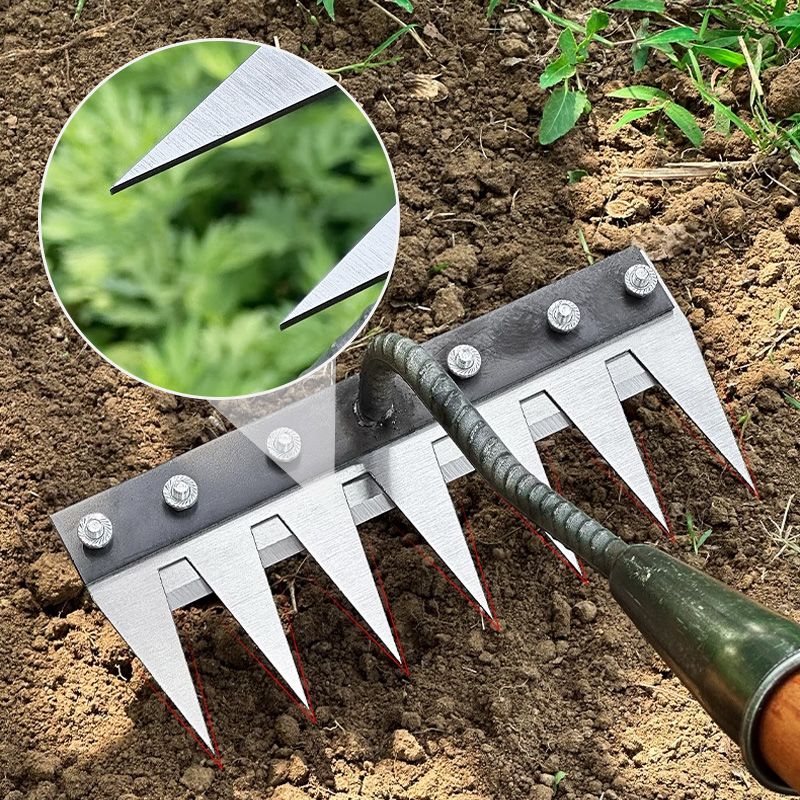 Interchangeable Garden Cultivator Head for Soil Prep & Weeding | Carbon Steel Attachment for Wood Handle, 4 Tine Configurations