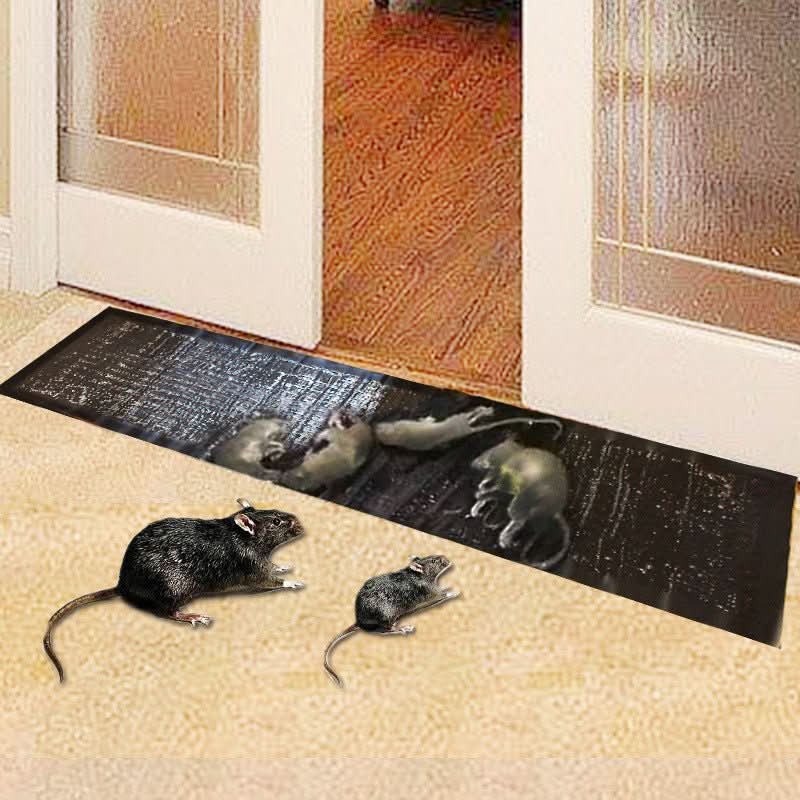 Large Adhesive Rodent and Insect Traps Non-Toxic Pest Control Glue Boards for Mice Rats Bugs Indoor Outdoor Use Kitchen Garage Shed Storage