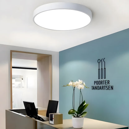 Low-Profile LED Flush Mount Light 16 Inch Round Acrylic Panel Fixture for Bedroom Living Room Kitchen Contemporary Ultra-Slim Design Energy