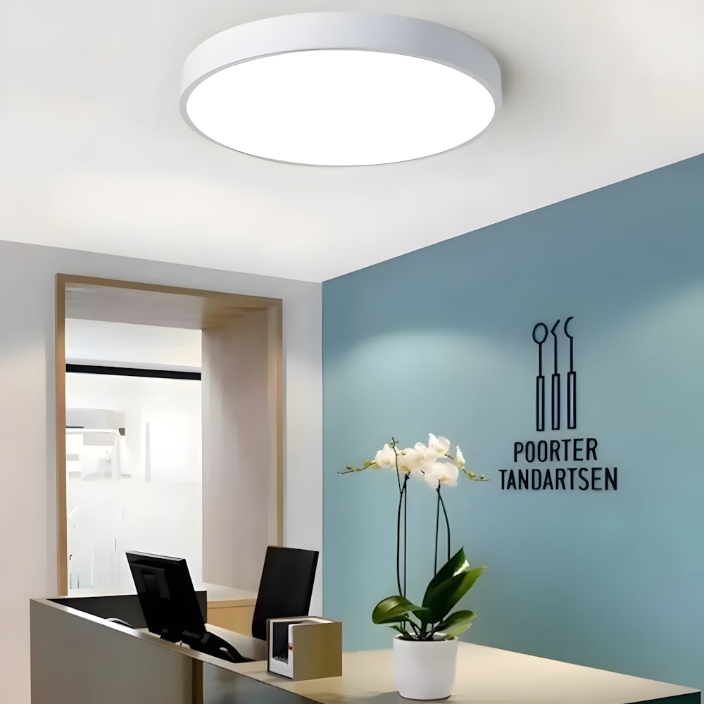 LED Flush Mount Light Round Acrylic Panel Low Profile Design for Bedroom Living Room Kitchen Hallway Dimmable Options Modern Home Lighting