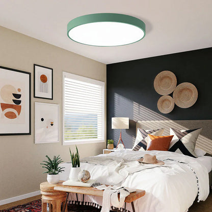 Low-Profile LED Flush Mount Light 16 Inch Round Acrylic Panel Fixture for Bedroom Living Room Kitchen Contemporary Ultra-Slim Design Energy