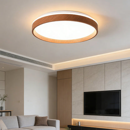 Round Flush Mount LED Light Fixture 16 in Acrylic for Bedroom Living Room Low Profile Modern Overhead Lighting Indoor