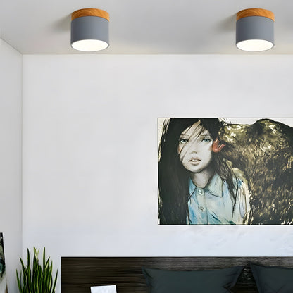 Compact Cylindrical Flush Mount LED Fixture for Residential Spaces – Aluminum Housing, Warm & Cool Temperatures, Multiple Finishes