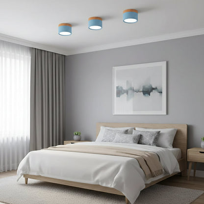 Compact Cylindrical Flush Mount LED Fixture for Residential Spaces – Aluminum Housing, Warm & Cool Temperatures, Multiple Finishes