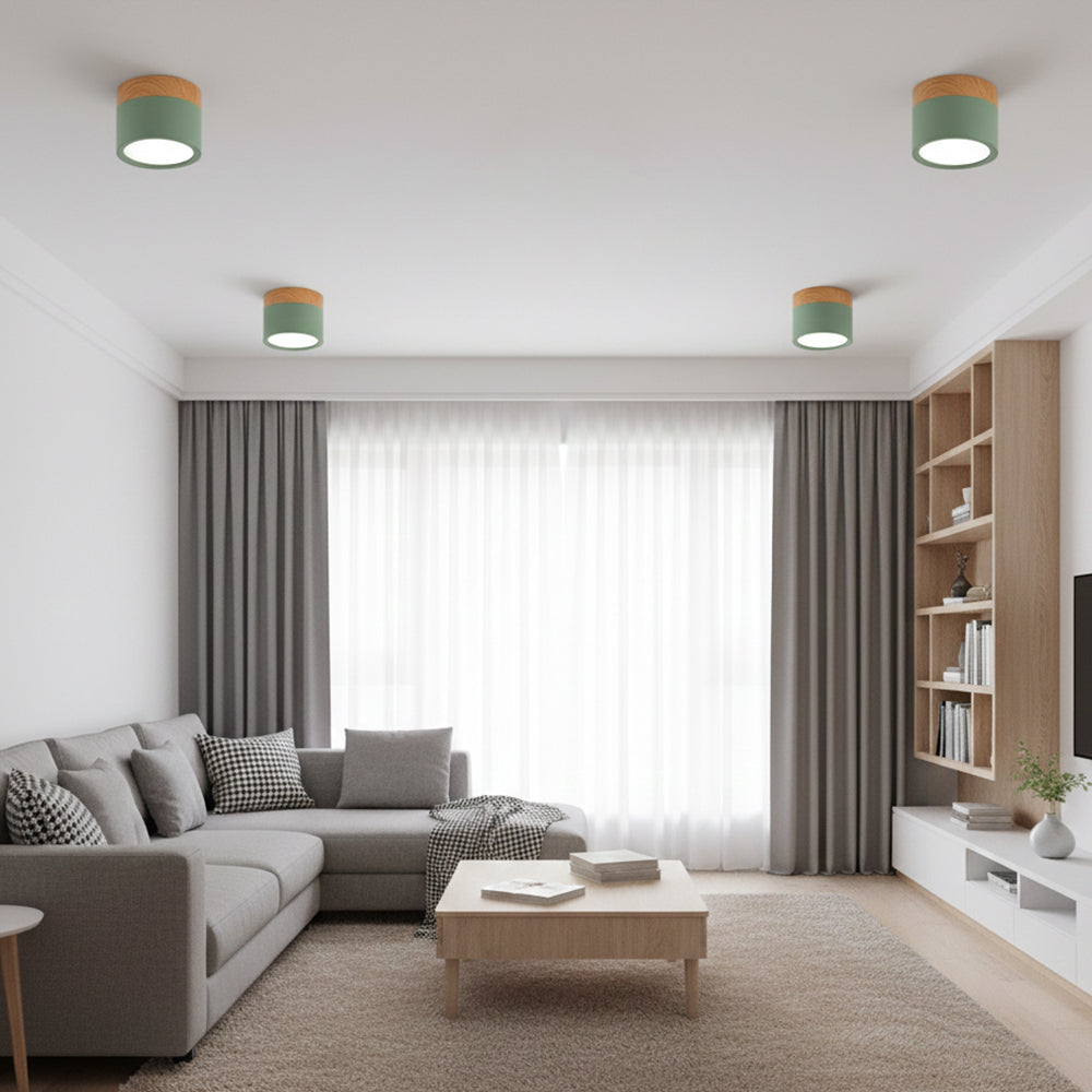 Compact Cylindrical Flush Mount LED Fixture for Residential Spaces – Aluminum Housing, Warm & Cool Temperatures, Multiple Finishes