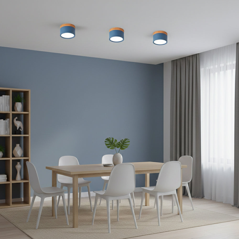 Compact Cylindrical Flush Mount LED Fixture for Residential Spaces – Aluminum Housing, Warm & Cool Temperatures, Multiple Finishes