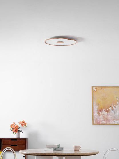 Wood-Look LED Ceiling Light Flush Mount with Botanical Curved Edge Design for Bedroom Living Room Kitchen