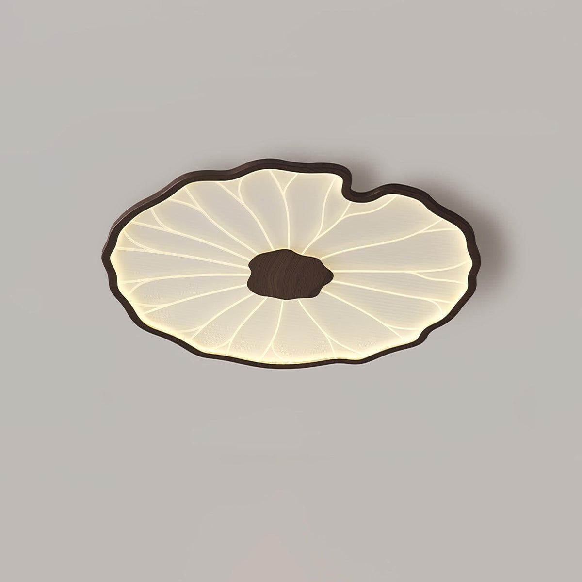 Flush Mount LED Fixture Wood Grain Acrylic Panel Adjustable Color Temperature for Low Profile Spaces Living Room Bedroom Office