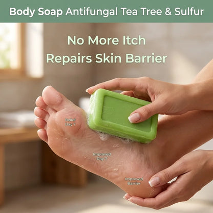 Body Soap Antifungal Tea Tree & Sulfur