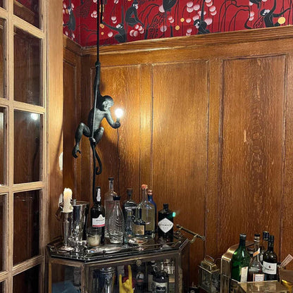 Fun Unique Hanging Lamp