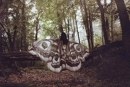 Moth Wing Cape Gray Nature-Inspired Costume Shawl for Festivals Photoshoots Halloween Performances Dance Parties Cosplay Events