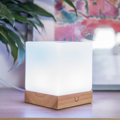 LuvLink | Friendship Lamp with Stylish Design & Instant Connection | Perfect Long Distance Gift