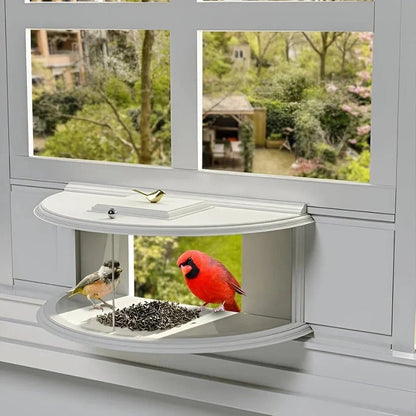 Nature's View | Window Bird Feeder with Easy Suction Cup Setup | Enjoy Close-Up Bird Watching from Home