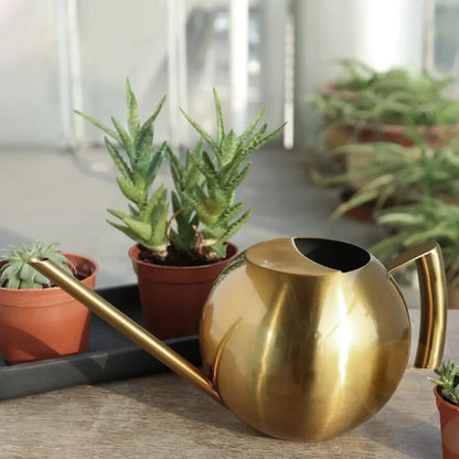 Metal Indoor Plant Watering Pitcher 11 in Diameter Long Spout Rust-Resistant Houseplant Tool Home Garden Container for Succulents Flowers