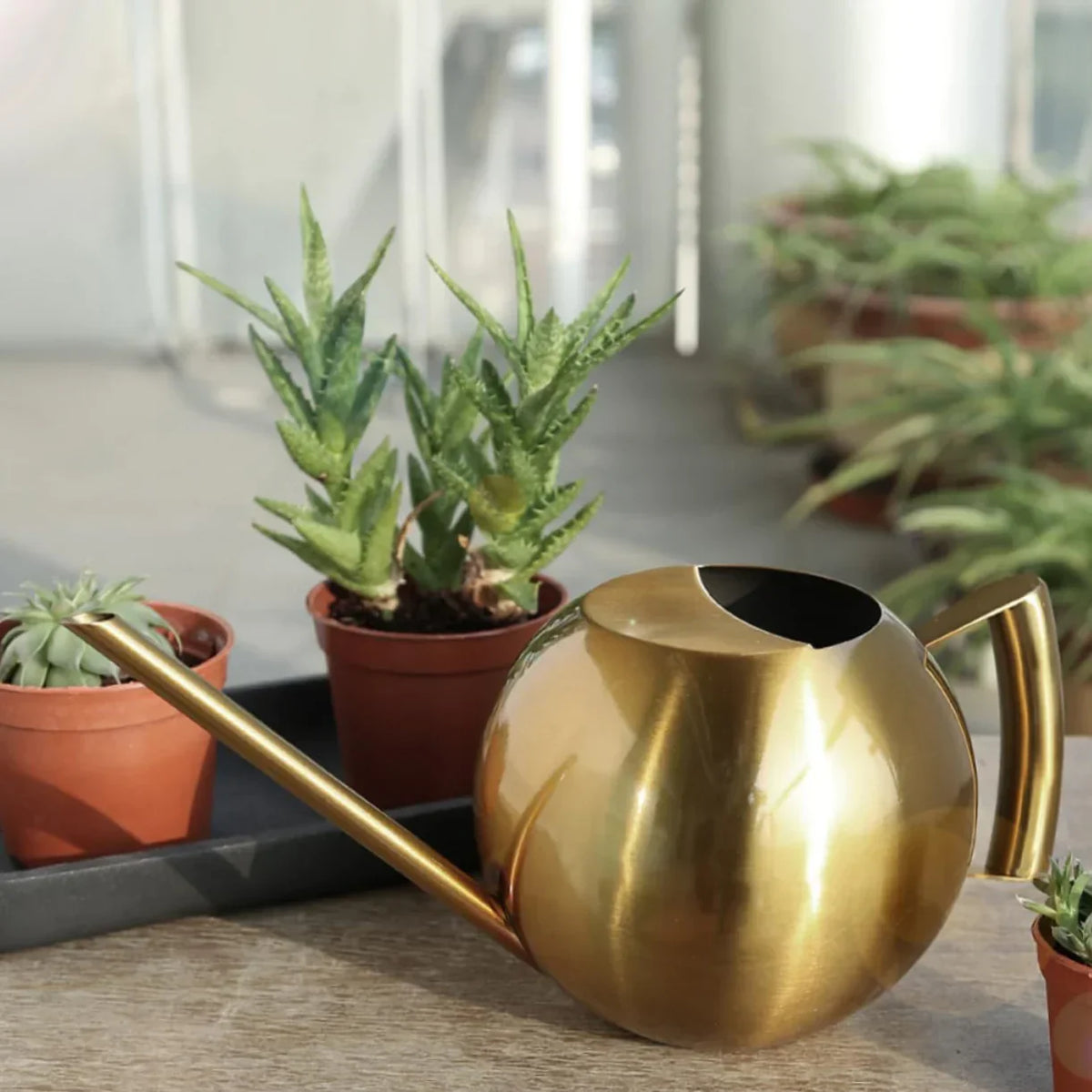 Stainless Steel Indoor Watering Pitcher for Houseplants – Modern Metal Long Spout Garden Can for Potted Plants, Succulents, Orchids – 50 oz