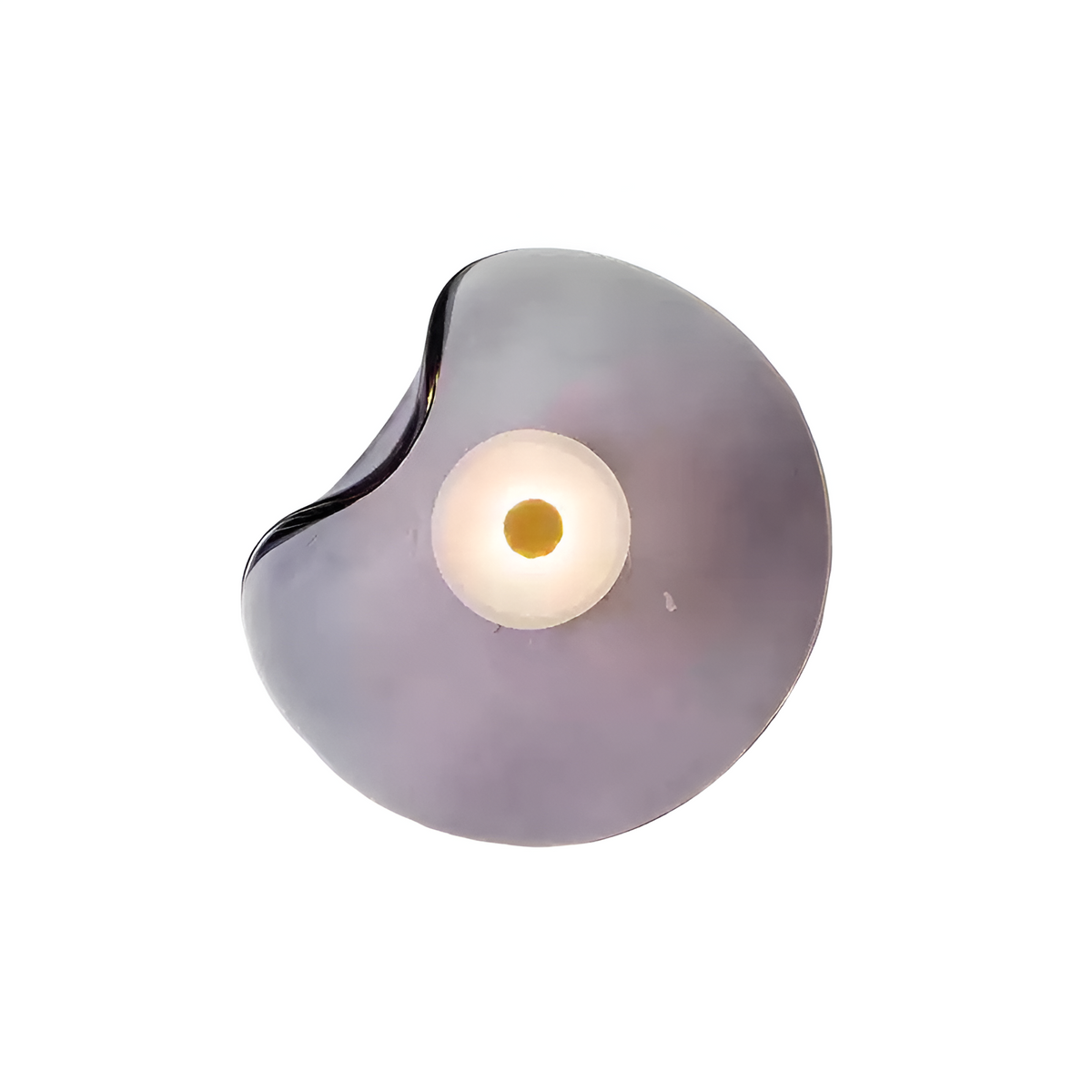 Curved Glass Wall Sconce with Warm White LED Up Down Light for Bedroom Living Room Hallway Modern Indoor Accent Lighting 10 Inch Tempered Gl