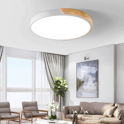Organic Design Flush Mount Light with Wood Accent | Dimmable Ceiling Fixture for Modern Interiors