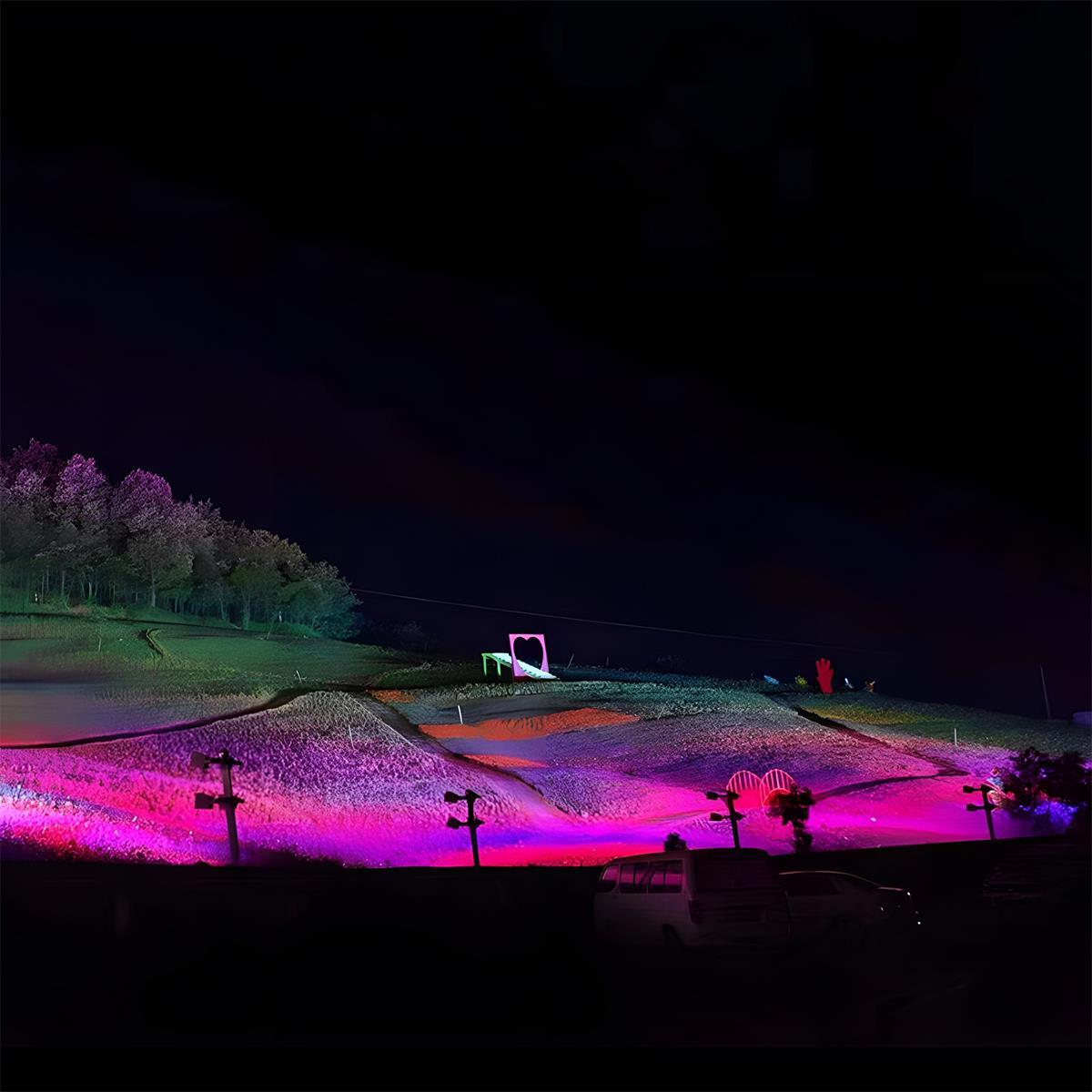 Outdoor Landscape Spot Light | Waterproof RGB LED with Adjustable Power Options | Ideal for Garden and Patio Illumination