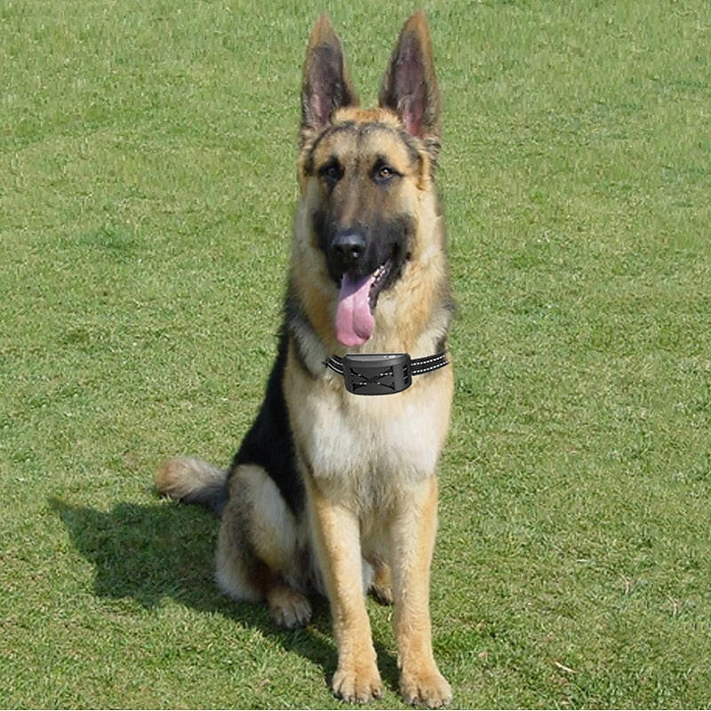 Wireless Dog Fence System with Adjustable Collar & Waterproof Design | Customizable Training Modes for Safe Pet Containment