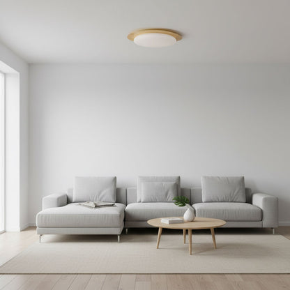 Flush Mount LED Ceiling Light Round 12 in Walnut Finish 12W Indoor for Bedroom Living Room Dining Room Kitchen Hallway Foyer Dimmable Low Pr