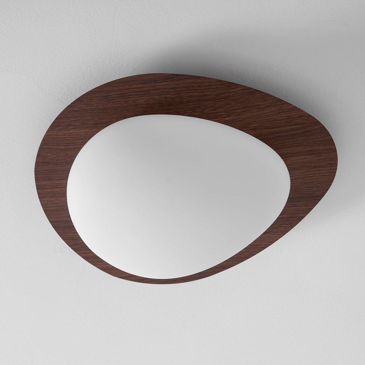 Flush Mount LED Ceiling Light Round 12 in Walnut Finish 12W Indoor for Bedroom Living Room Dining Room Kitchen Hallway Foyer Dimmable Low Pr