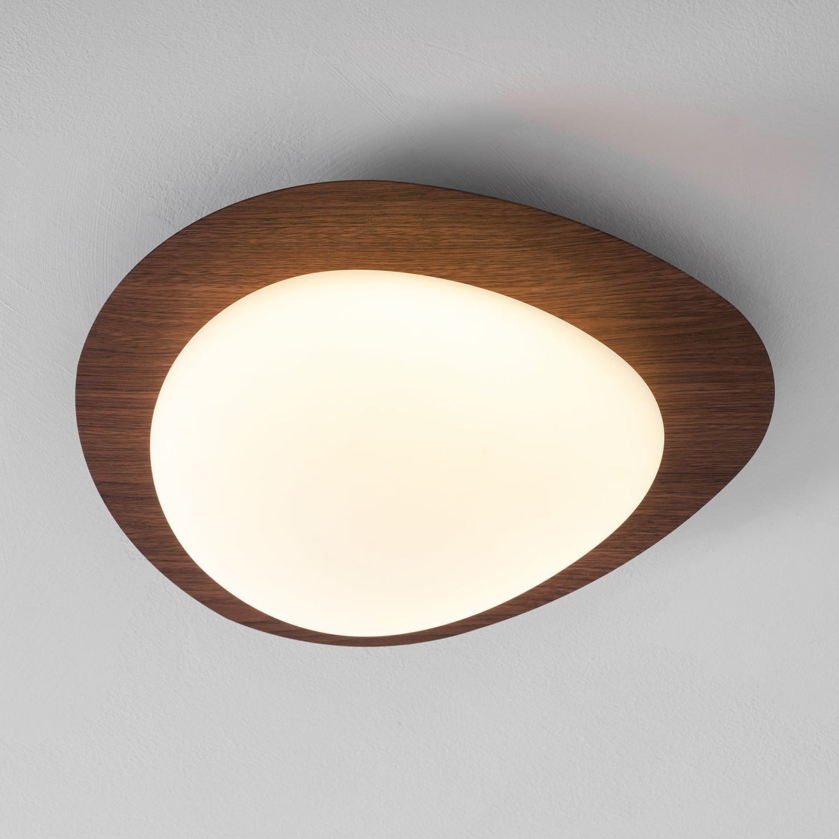 Flush Mount LED Ceiling Light Round 12 in Walnut Finish 12W Indoor for Bedroom Living Room Dining Room Kitchen Hallway Foyer Dimmable Low Pr