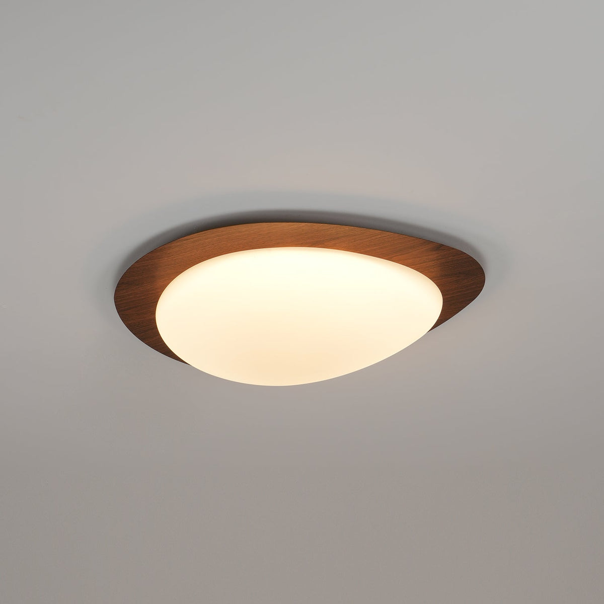 Flush Mount LED Ceiling Light Round 12 in Walnut Finish 12W Indoor for Bedroom Living Room Dining Room Kitchen Hallway Foyer Dimmable Low Pr