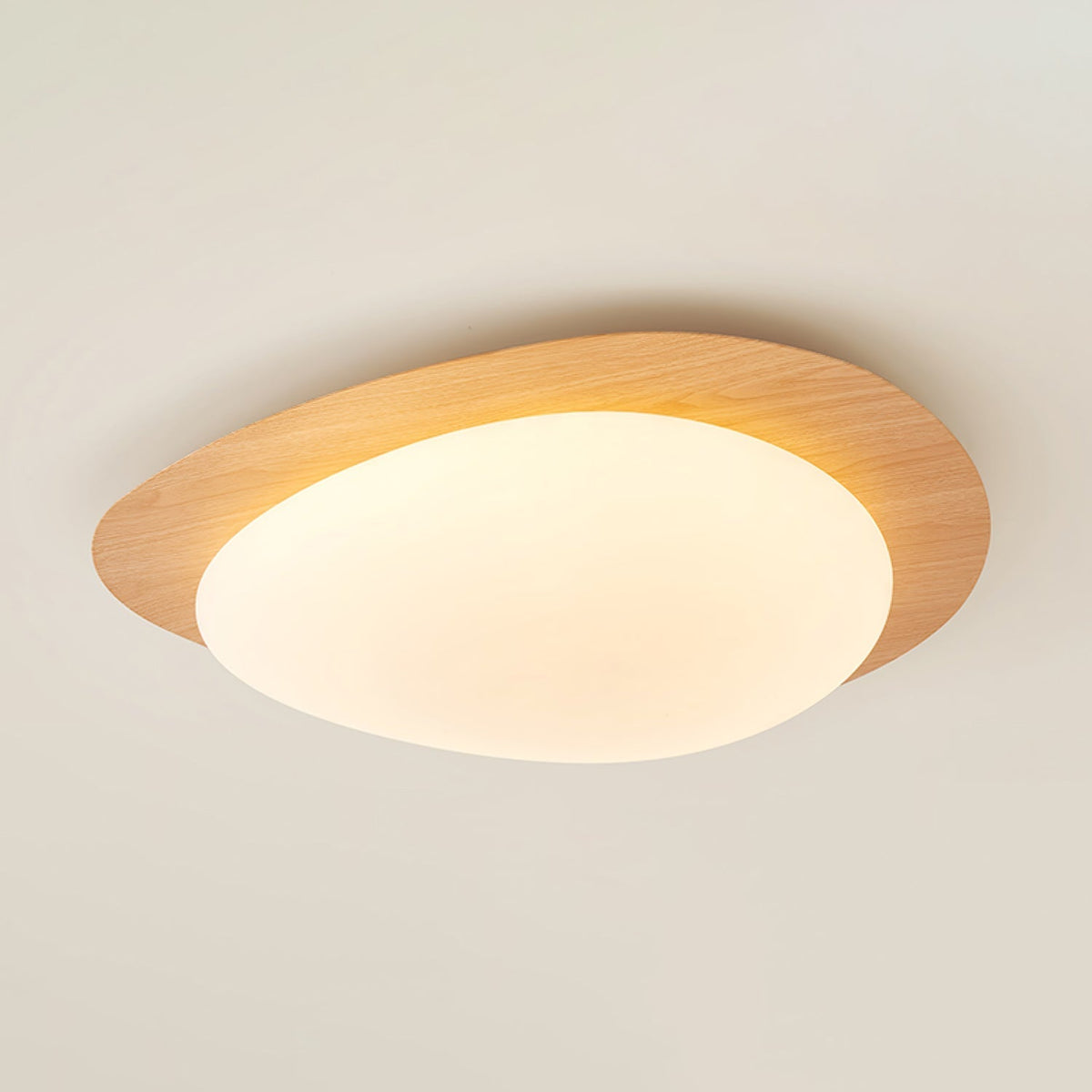 Flush Mount LED Ceiling Light Round 12 in Walnut Finish 12W Indoor for Bedroom Living Room Dining Room Kitchen Hallway Foyer Dimmable Low Pr