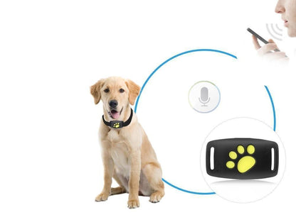 PAWTRACE – GPS Tracker For Cats Real Time Pet Locator