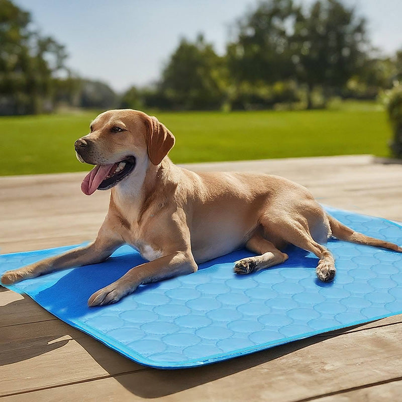 Pet Comfort | Dog Cooling Mat with Self-Cooling Technology | Ideal for Hot Weather Relief