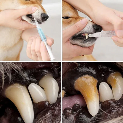 Pet Dental Care | Teeth Health Solution with Natural Ingredients | Effective Stain Removal for Optimal Oral Hygiene