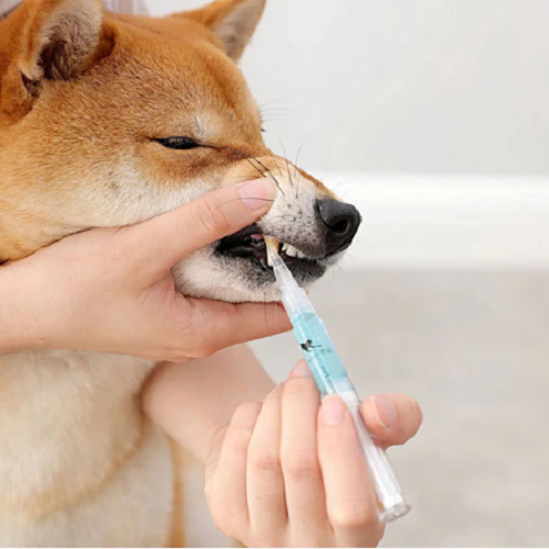 Pet Dental Care | Teeth Health Solution with Natural Ingredients | Effective Stain Removal for Optimal Oral Hygiene