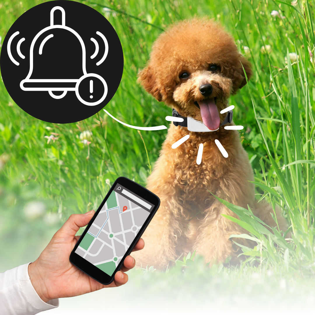 Pet Tracker Collection | GPS Dog Collar with Real-Time Location | Waterproof Design for Safety and Freedom